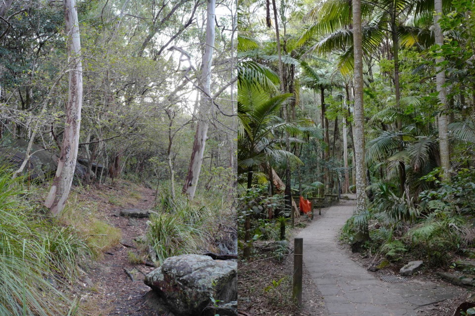 Photo of walks in Cooper Park